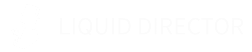 Liquid Director Club Schweiz